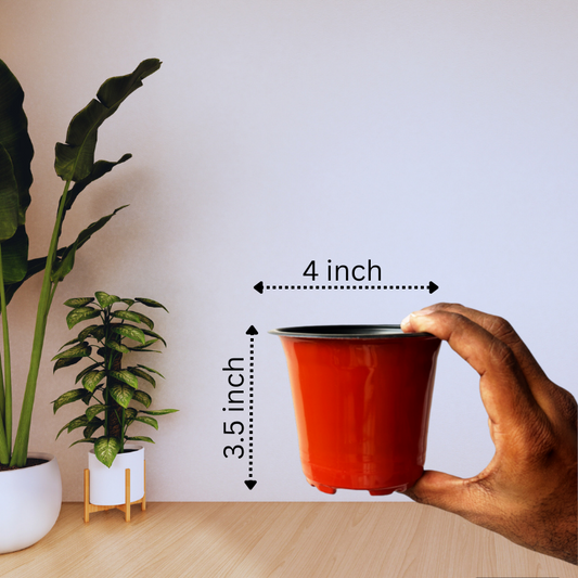 Gachera 4 Inch Thermoform Flower Pot | Lightweight Plastic Nursery Pot for Plants & Seedlings