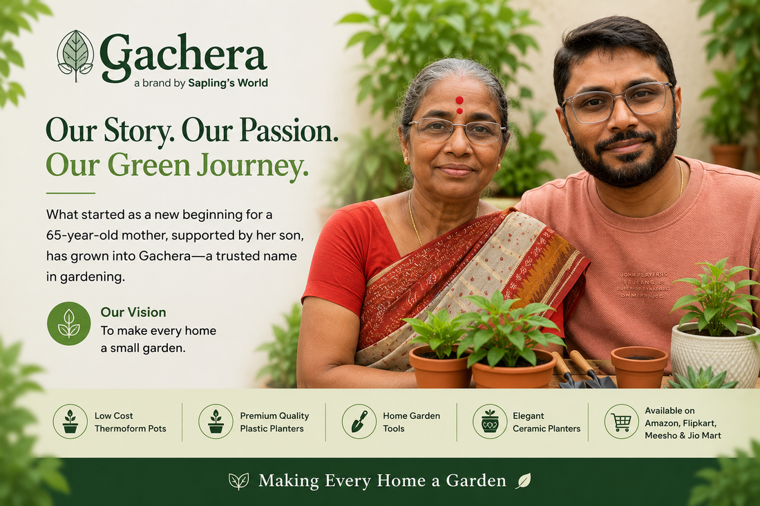 The Story Behind Gachera: A Dream to Make Every Home a Garden