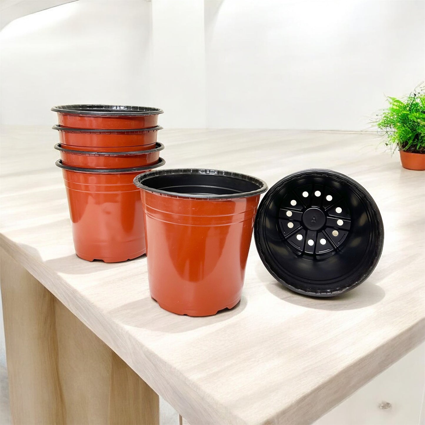 8 Inch Thermoform Pot (8" Dia x 7.3" H) | Home Garden & Nursery