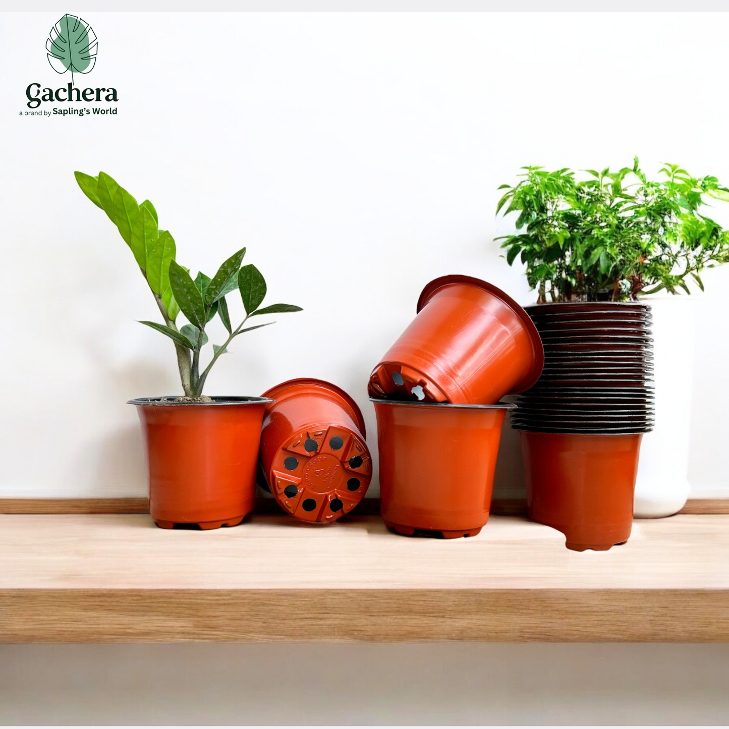 Gachera 4 Inch Thermoform Flower Pot | Lightweight Plastic Nursery Pot for Plants & Seedlings