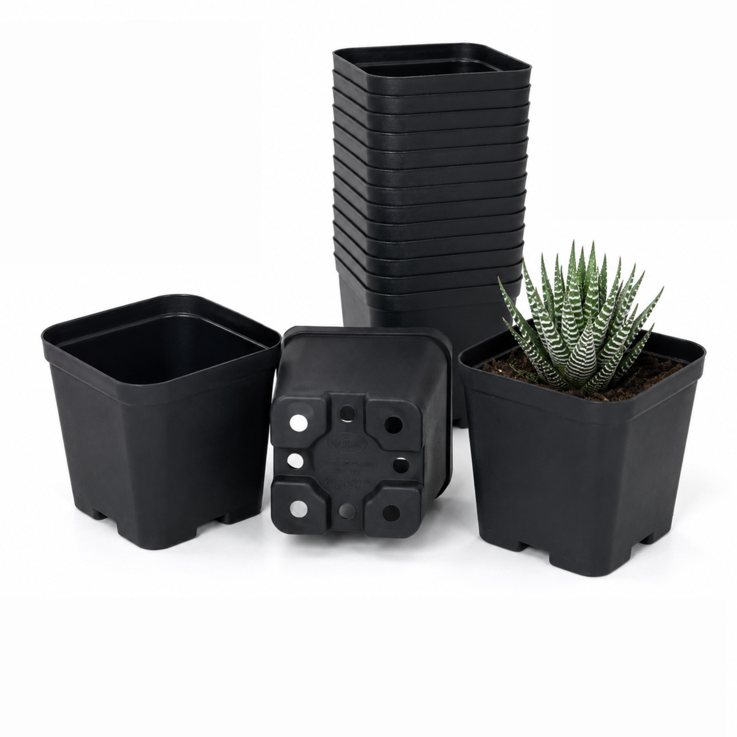 3 Inch Square Plant Pots - Black