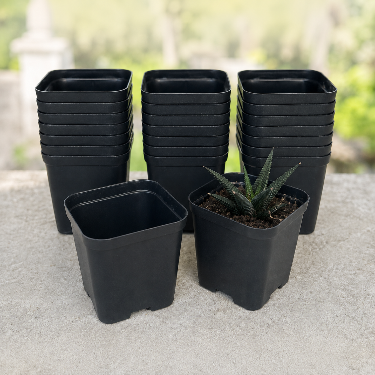 3 Inch Square Plant Pots - Black