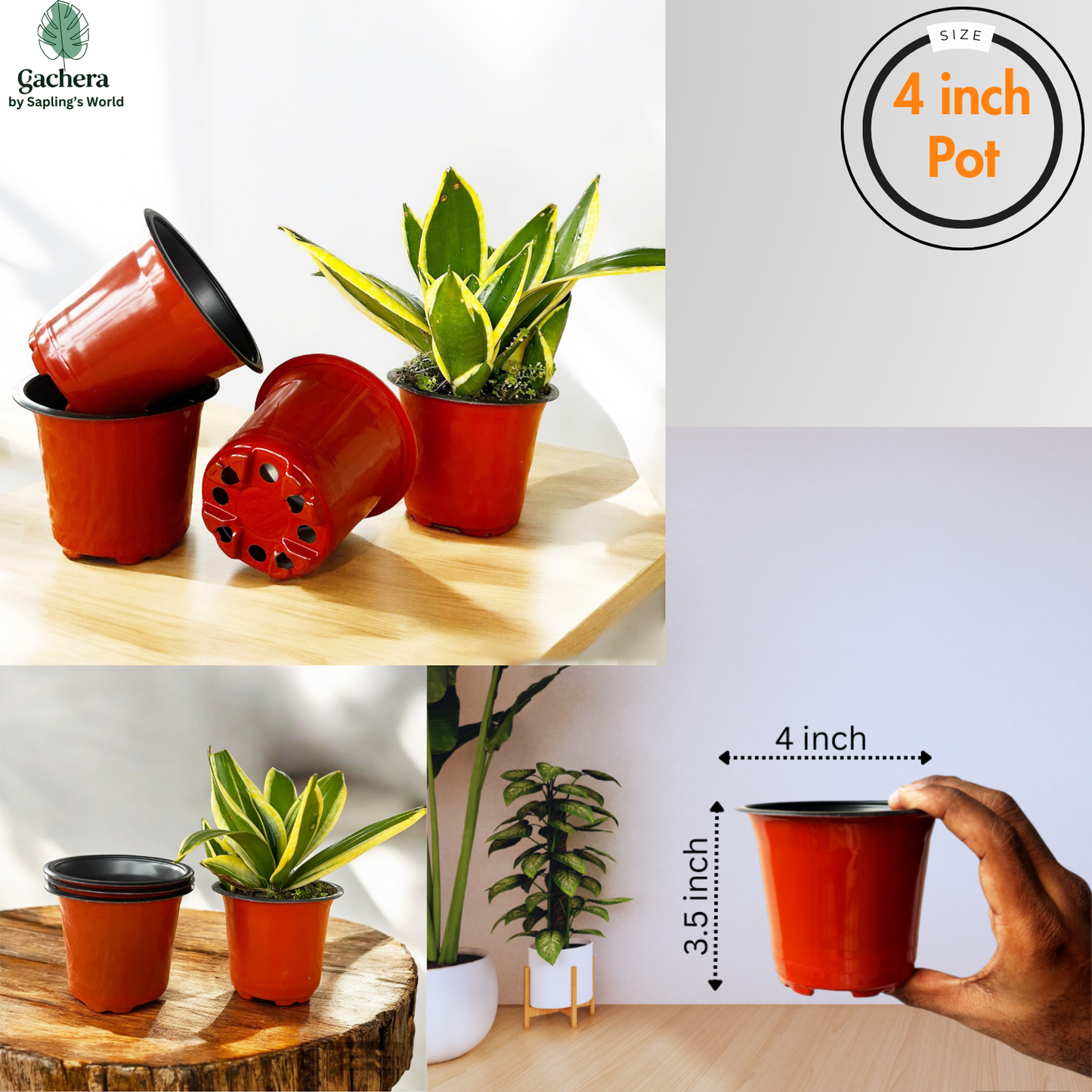 Gachera 4 Inch Thermoform Flower Pot | Lightweight Plastic Nursery Pot for Plants & Seedlings