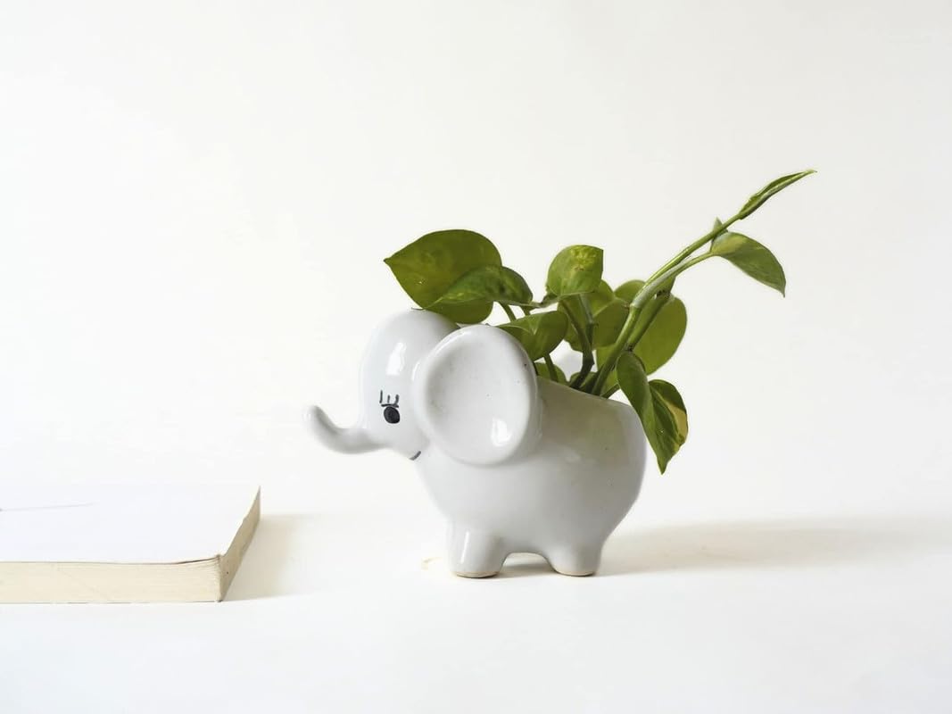 Cute Little Elephant Planter-4 inch size