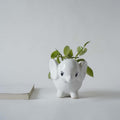 Cute Little Elephant Planter-4 inch size