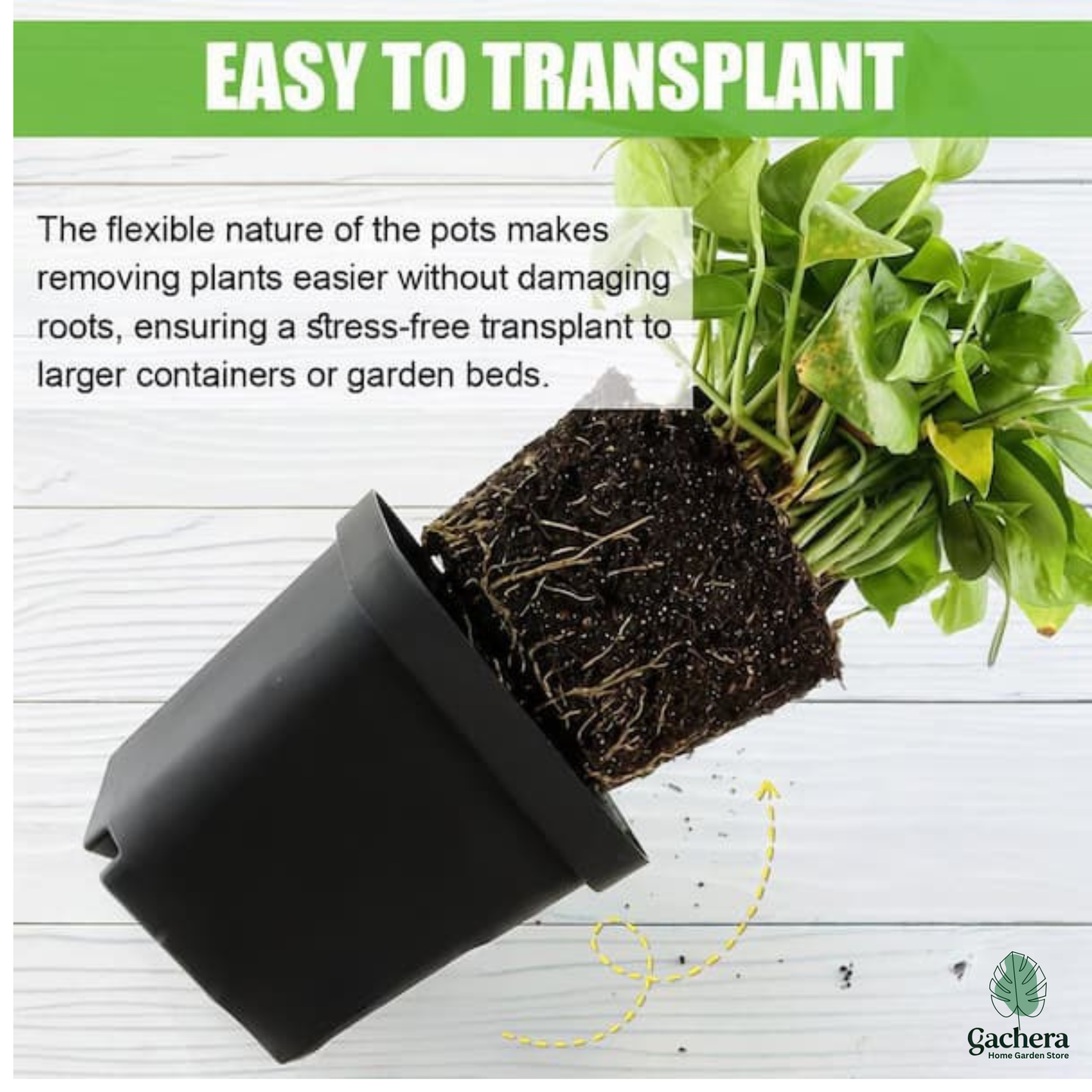3 Inch Square Plant Pots - Black