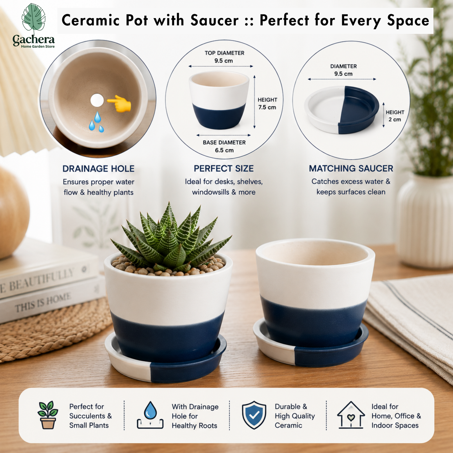 Mini Ceramic Planter Pot with Drainage Hole & Matching Saucer | White & Navy Blue Flower Pot for Succulents, Cactus & Indoor Plants