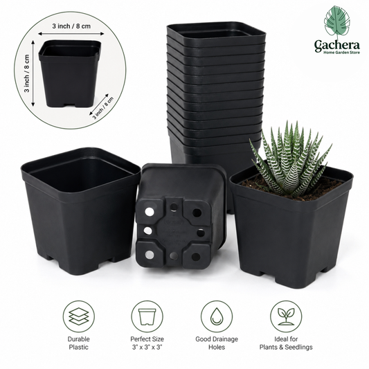 3 Inch Square Plant Pots - Black