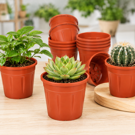 4 Inch (10 cm) Terracotta Plastic Planter Pots with Drainage Holes for Succulents, Herbs & Saplings | Set of 12
