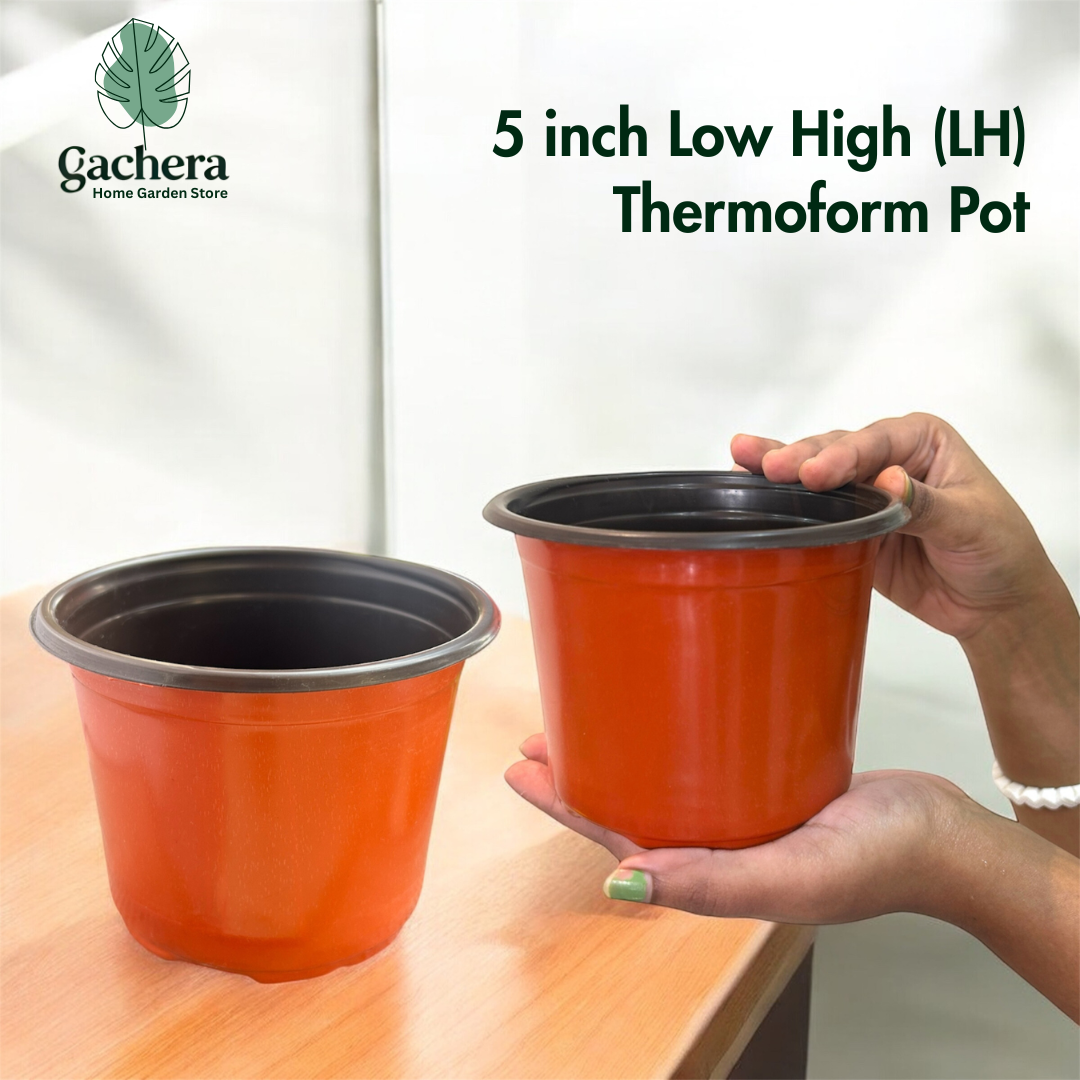Gachera 5 Inch Low Height Thermoform Flower Pot (5" Dia x 4" H) | Lightweight Plastic Planter
