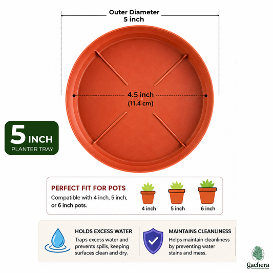 Gachera 5 Inch Plant Tray & Saucer | Strong Plastic Pot Base Plate | Water Drip Tray for Indoor & Outdoor Plants | Terracotta
