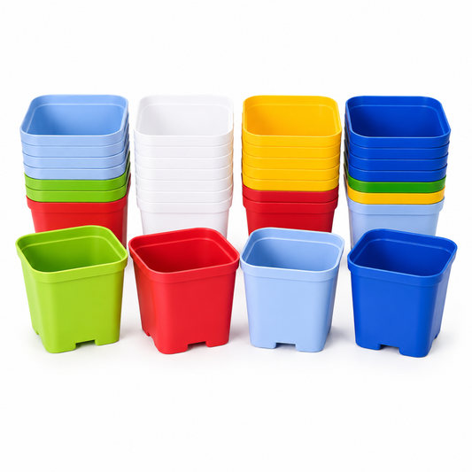 3 Inch (8cm x 8cm) Square Pots - Assorted Colours