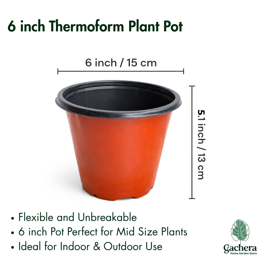 Gachera 6 Inch Thermoform Flower Pot (6" Dia x 5.2" H) | Lightweight Plastic Plant Pot for Home Garden, Nursery, Succulents & Flowering Plants