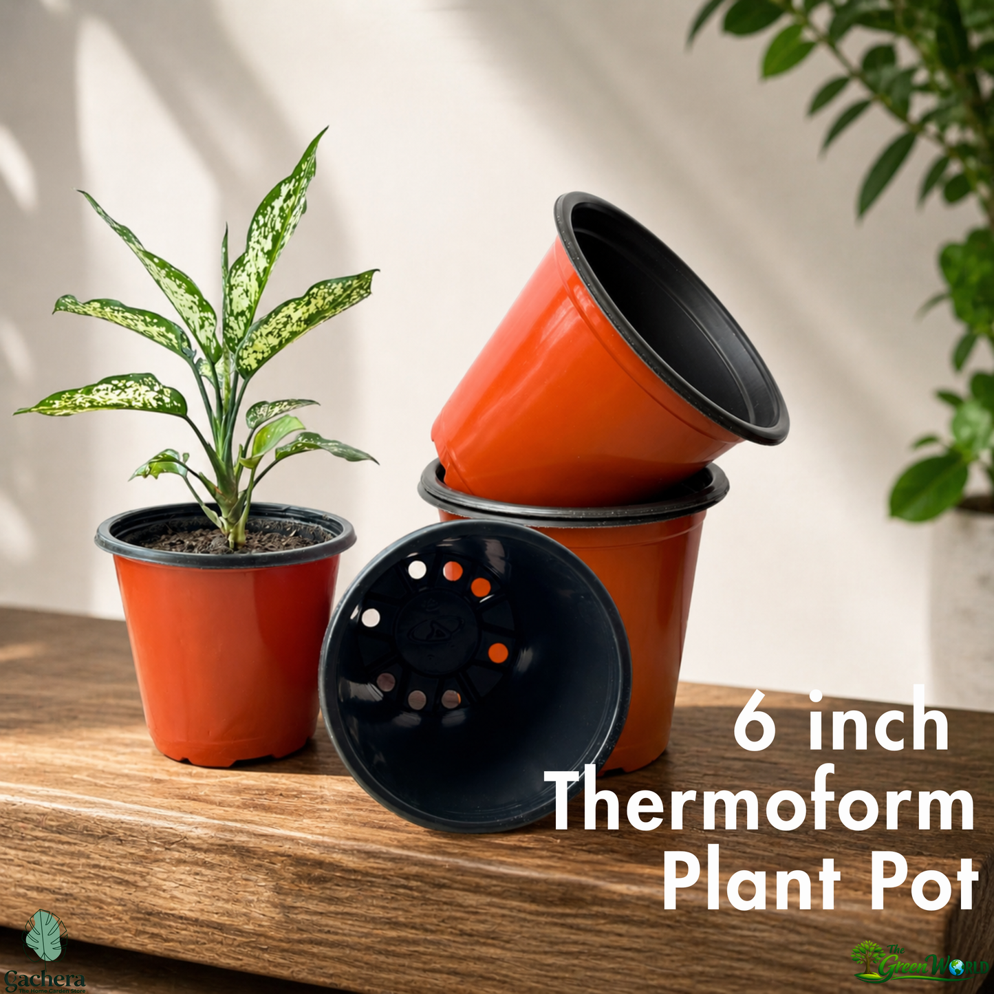 Gachera 6 Inch Thermoform Flower Pot (6" Dia x 5.2" H) | Lightweight Plastic Plant Pot for Home Garden, Nursery, Succulents & Flowering Plants