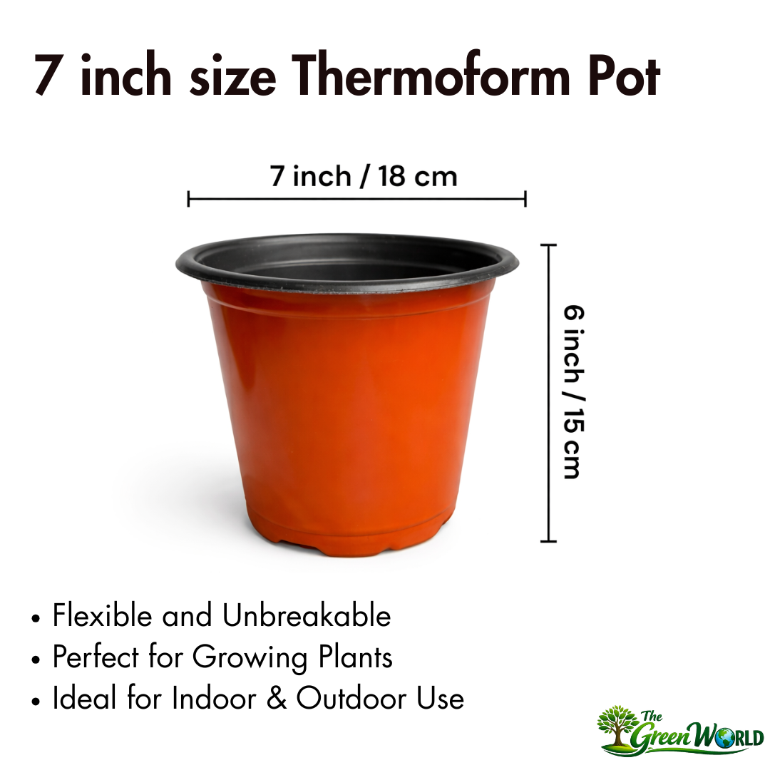 7 Inch Thermoform Pot (7" Dia x 6.1" H) | Lightweight Plastic Pot for Home Garden & Nursery