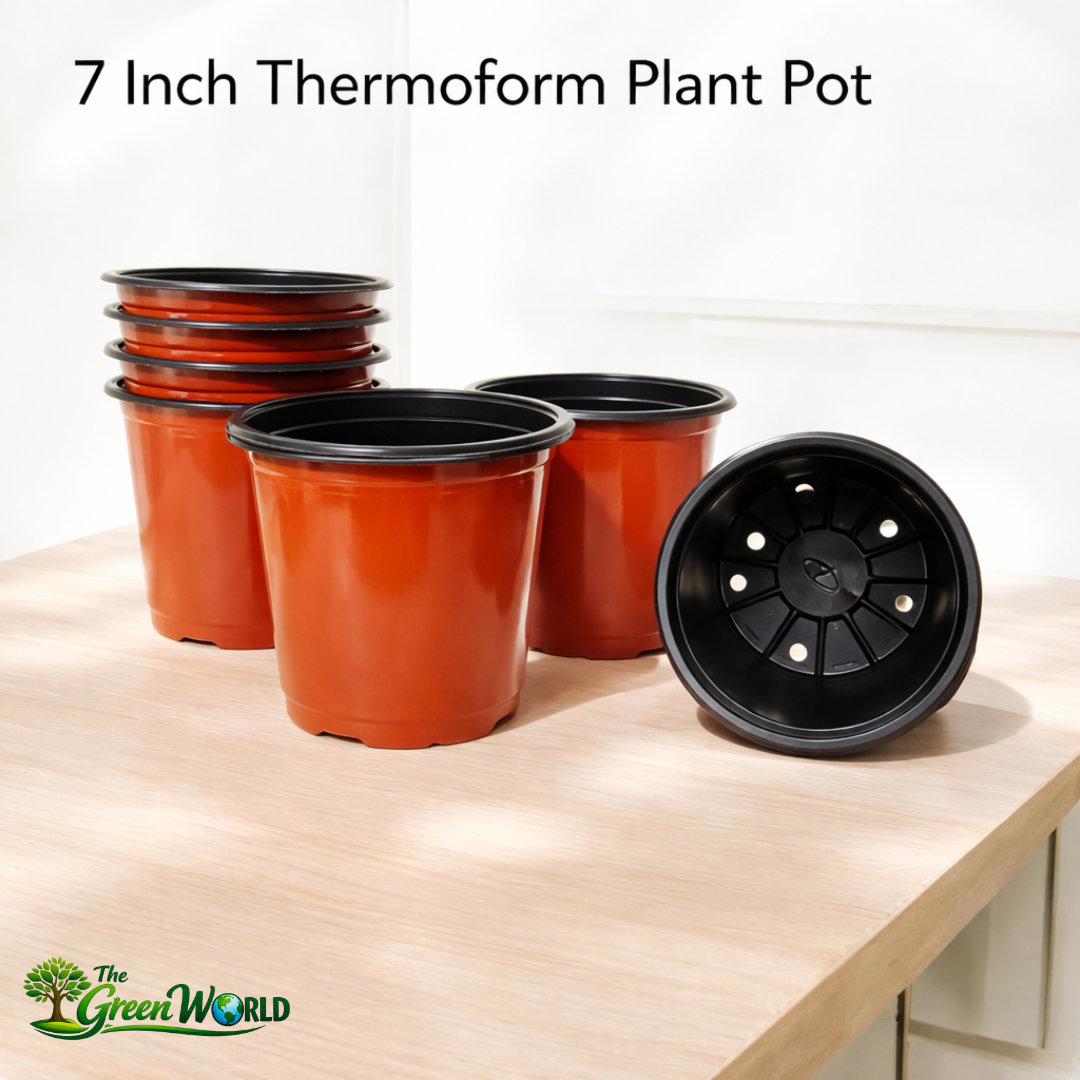 7 Inch Thermoform Pot (7" Dia x 6.1" H) | Lightweight Plastic Pot for Home Garden & Nursery