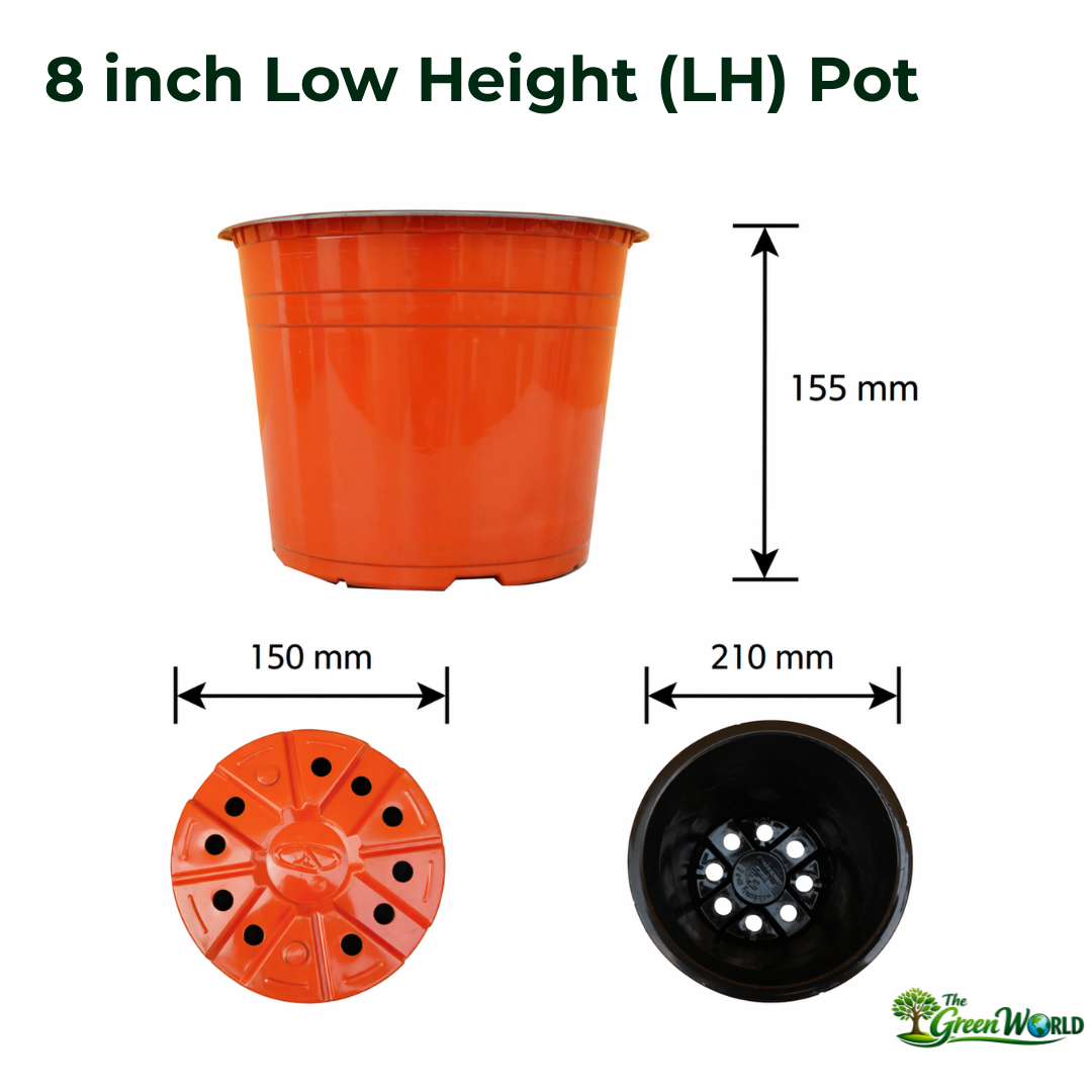 8 Inch Low Height (LH) Thermoform Flower Pot (8" Dia x 6.1" H)