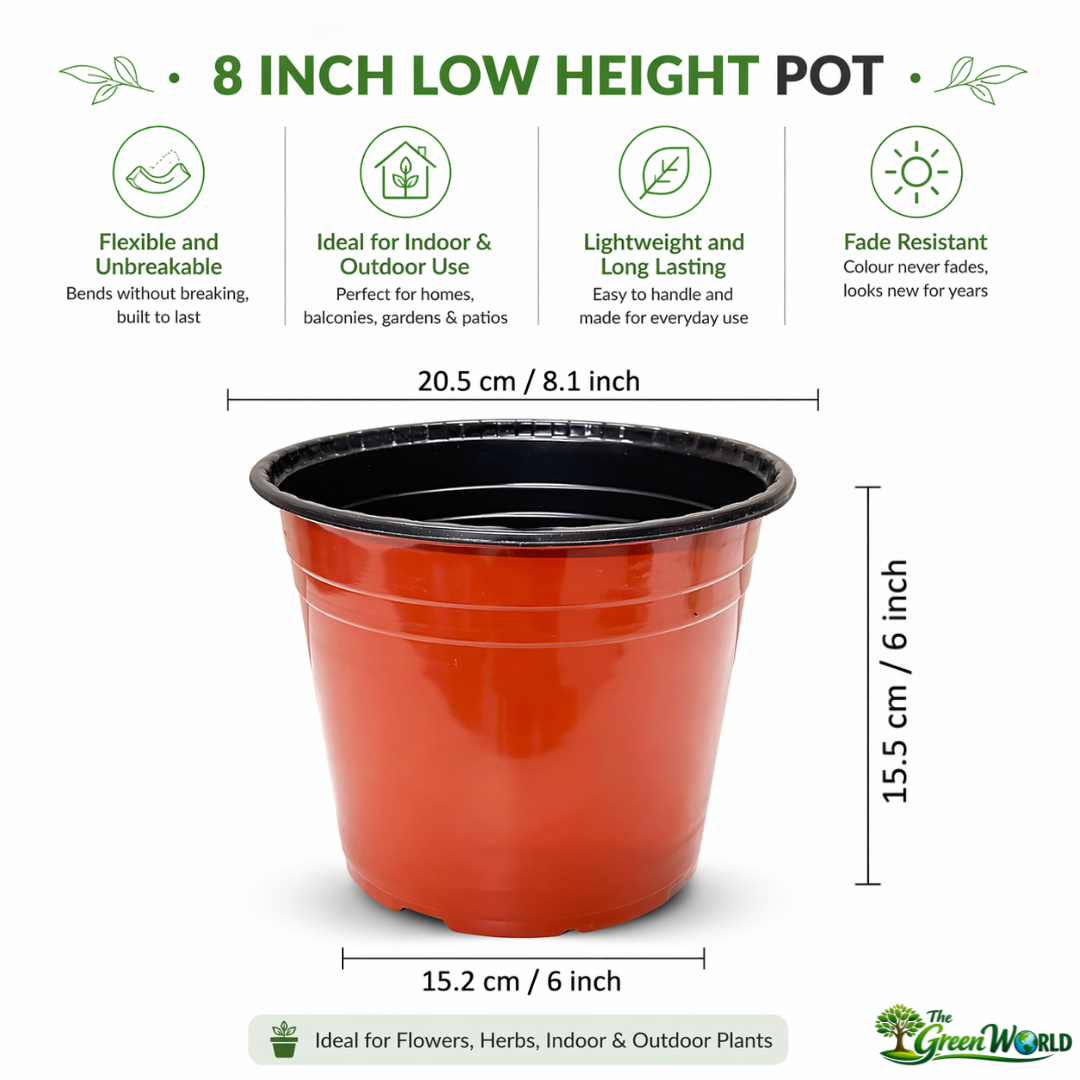 8 Inch Low Height (LH) Thermoform Flower Pot (8" Dia x 6.1" H)